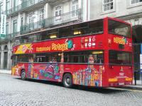 Sightseeing Tours