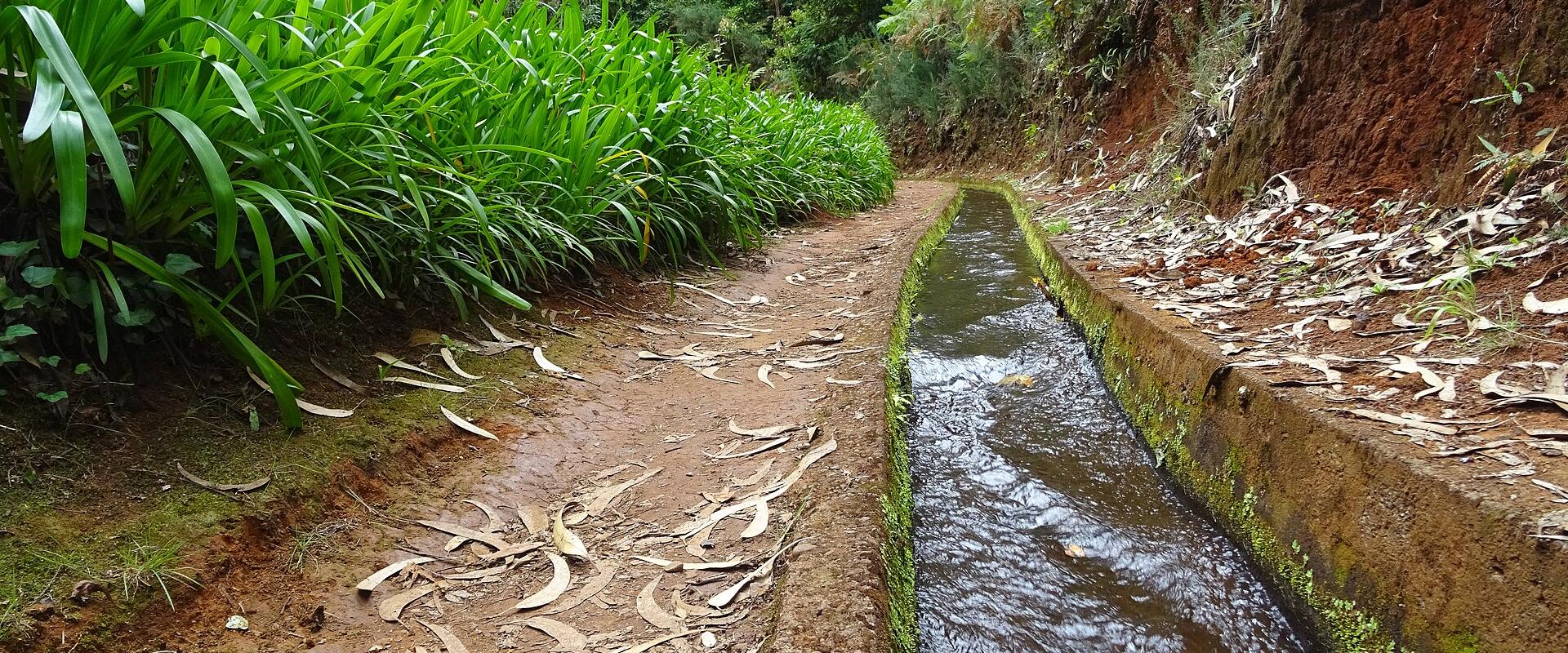 Levada do Rei