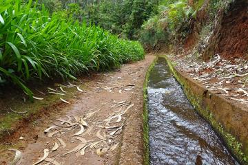 Levada do Rei