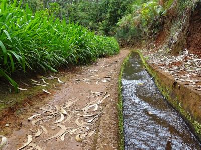 Levada do Rei