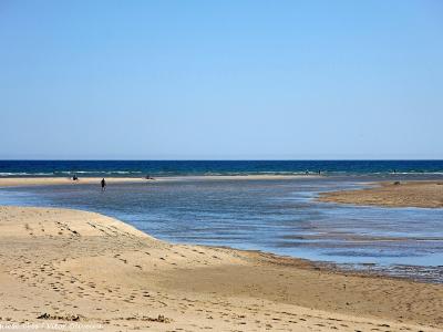 A wide sandy beach with a tidal channel or inlet flowing towards the ocean, featuring a few people walking on the sand and a sailboat in the distance under a clear blue sky.