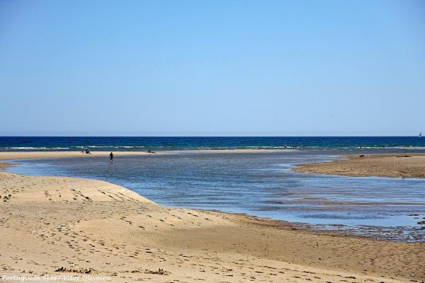 Praia Da Fábrica (Caccha Velha Beach)