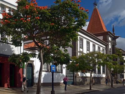 A street scene showing a white building with a distinctive conical tiled roof tower, a large tree with red flowers in the foreground, and a blue information sign on a post.