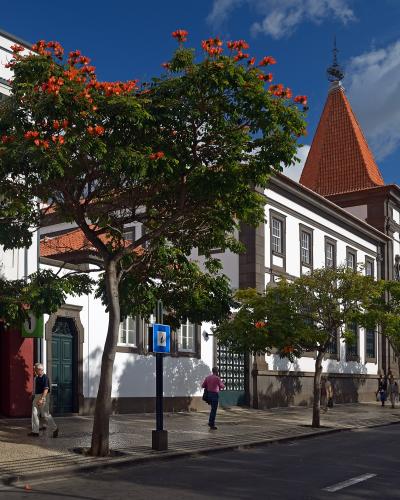 A street scene showing a white building with a distinctive conical tiled roof tower, a large tree with red flowers in the foreground, and a blue information sign on a post.