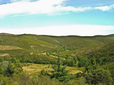 Montesinho
