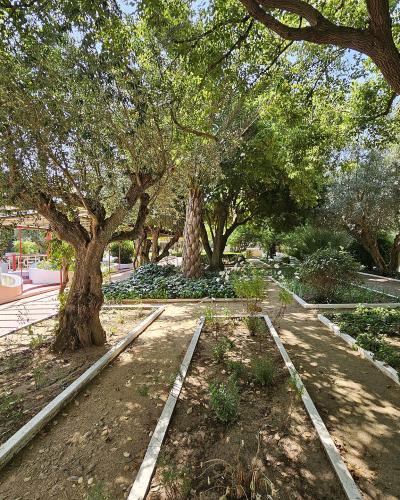 Tree-shaded paths of the Jardim-Horto de Camões garden in Constância