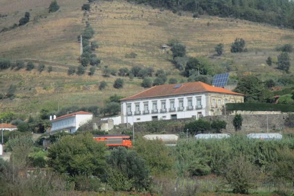 Douro River Banks