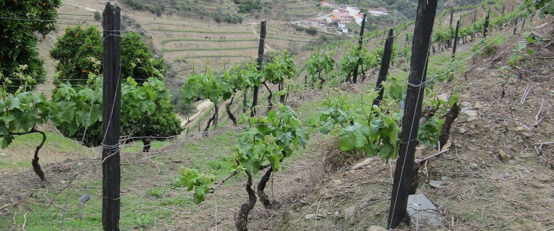 Vale de Mendiz