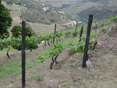 Vale de Mendiz