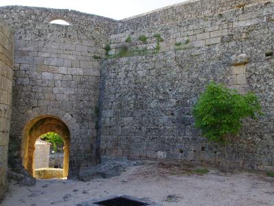 A view of the interior courtyard of a stone fortress featuring a large arched gateway, high masonry walls, and a small tree.