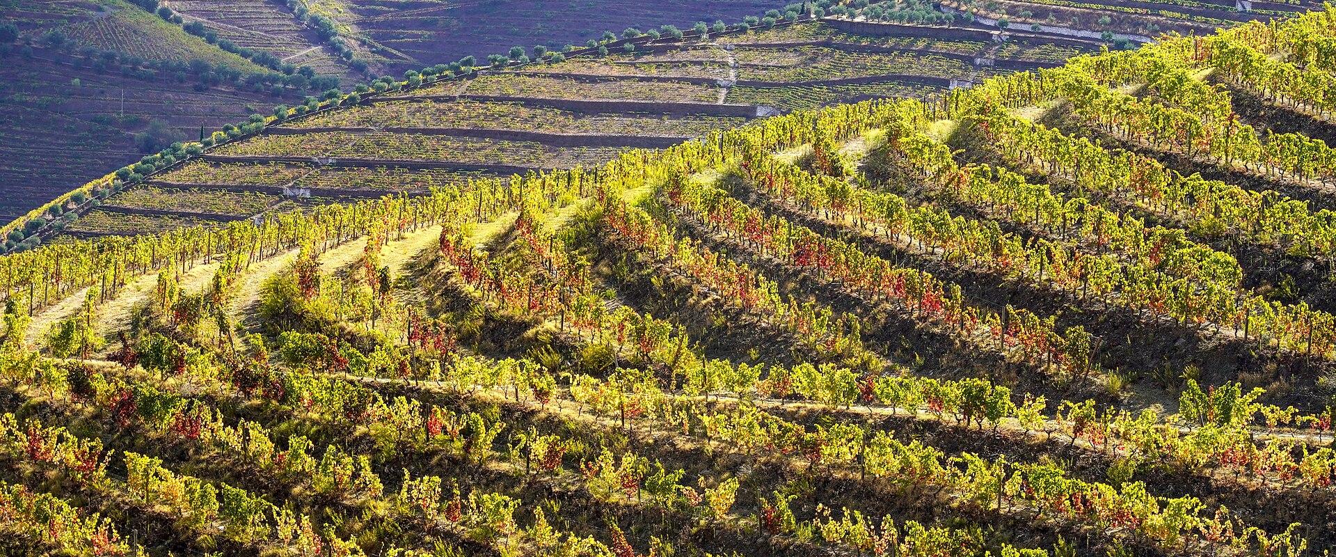 Quinta do Seixo