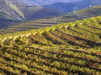 Quinta do Seixo