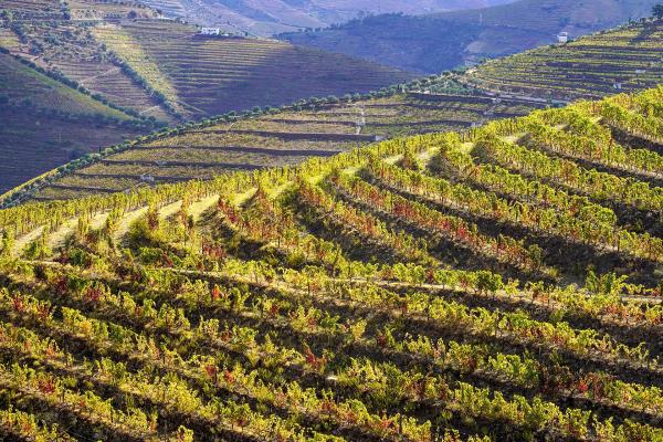 Quinta do Seixo
