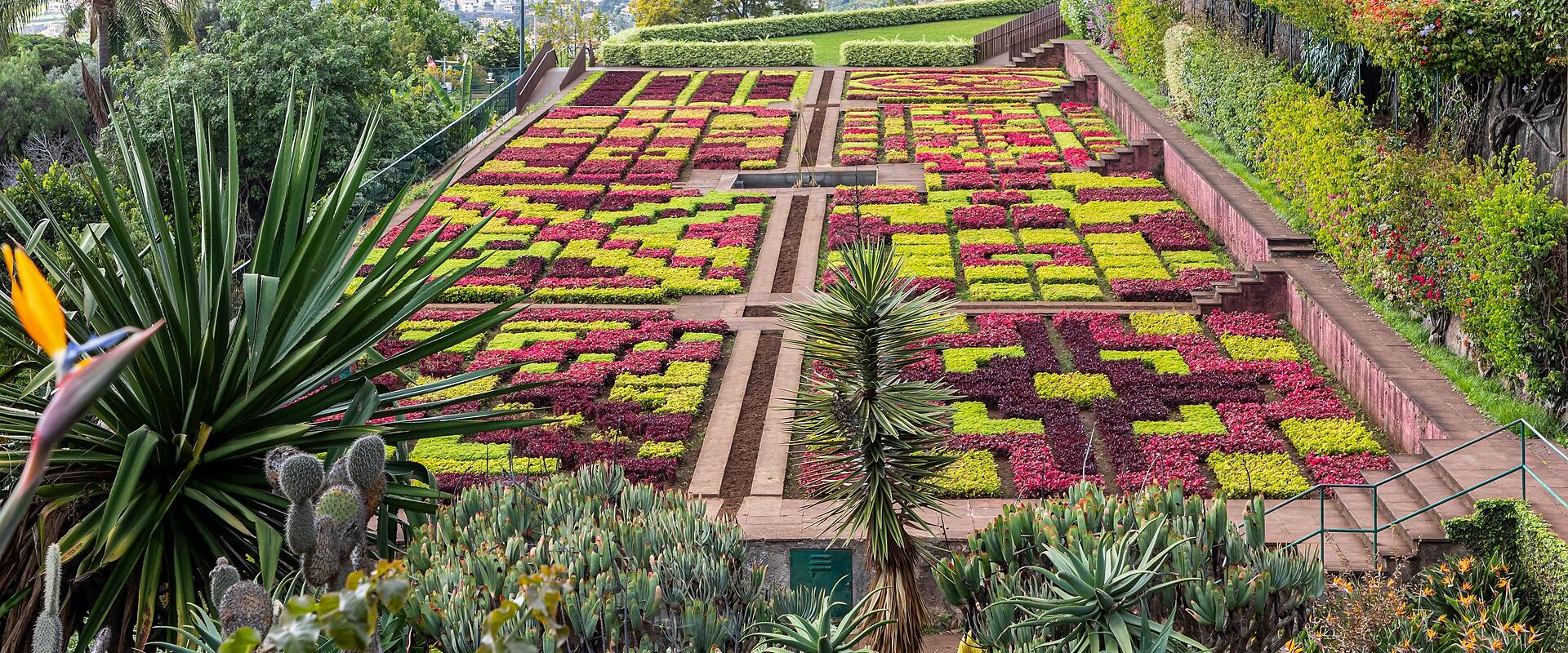 Madeira Botanical Garden