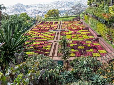 A high-angle view of a terraced formal garden featuring geometric flowerbeds in red and yellow, surrounded by succulents and palm trees, with a cityscape visible in the background.