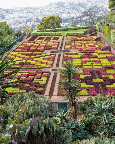 A high-angle view of a terraced formal garden featuring geometric flowerbeds in red and yellow, surrounded by succulents and palm trees, with a cityscape visible in the background.