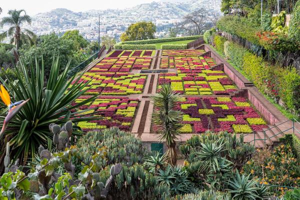 Madeira Botanical Garden