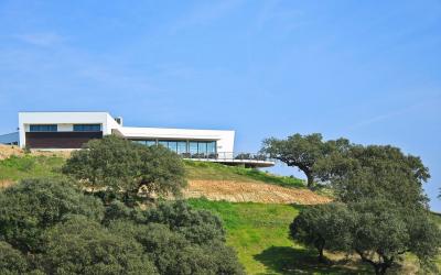 A modern white building with large glass windows and a terrace sits atop a grassy hill dotted with cork oak trees under a clear blue sky.