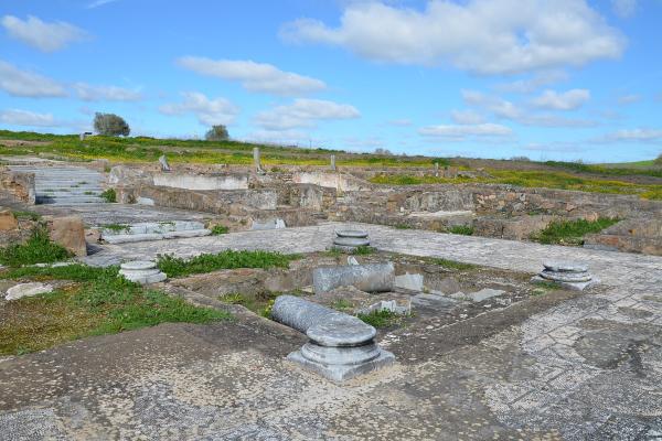 Roman Ruins (ancient Streets/palaces)