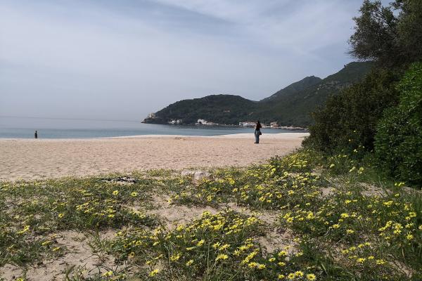 Praia Do Creiro