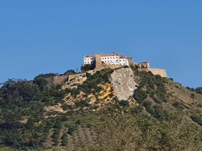 Palmela
