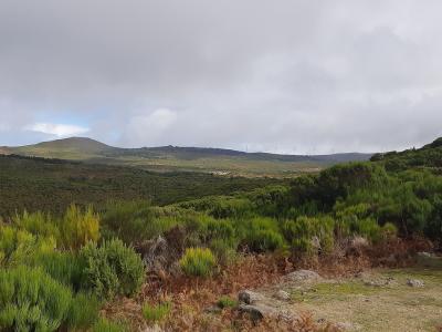 Moorland and low hills on the Paul da Serra plateau, Madeira