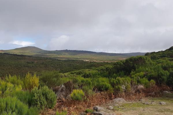 Paul Da Serra Plateau
