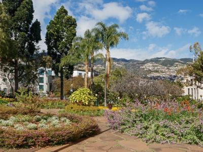 Flower beds and palm trees in Santa Catarina Park, Funchal, Madeira