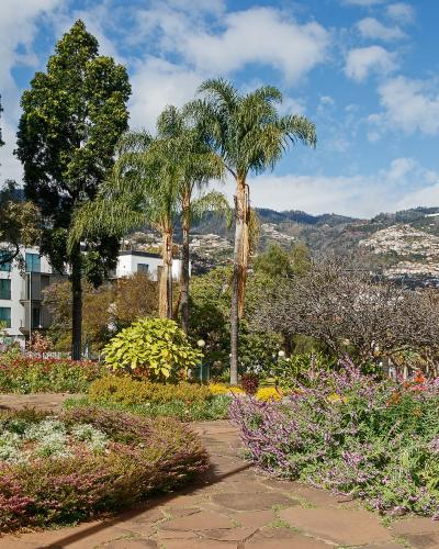 Flower beds and palm trees in Santa Catarina Park, Funchal, Madeira
