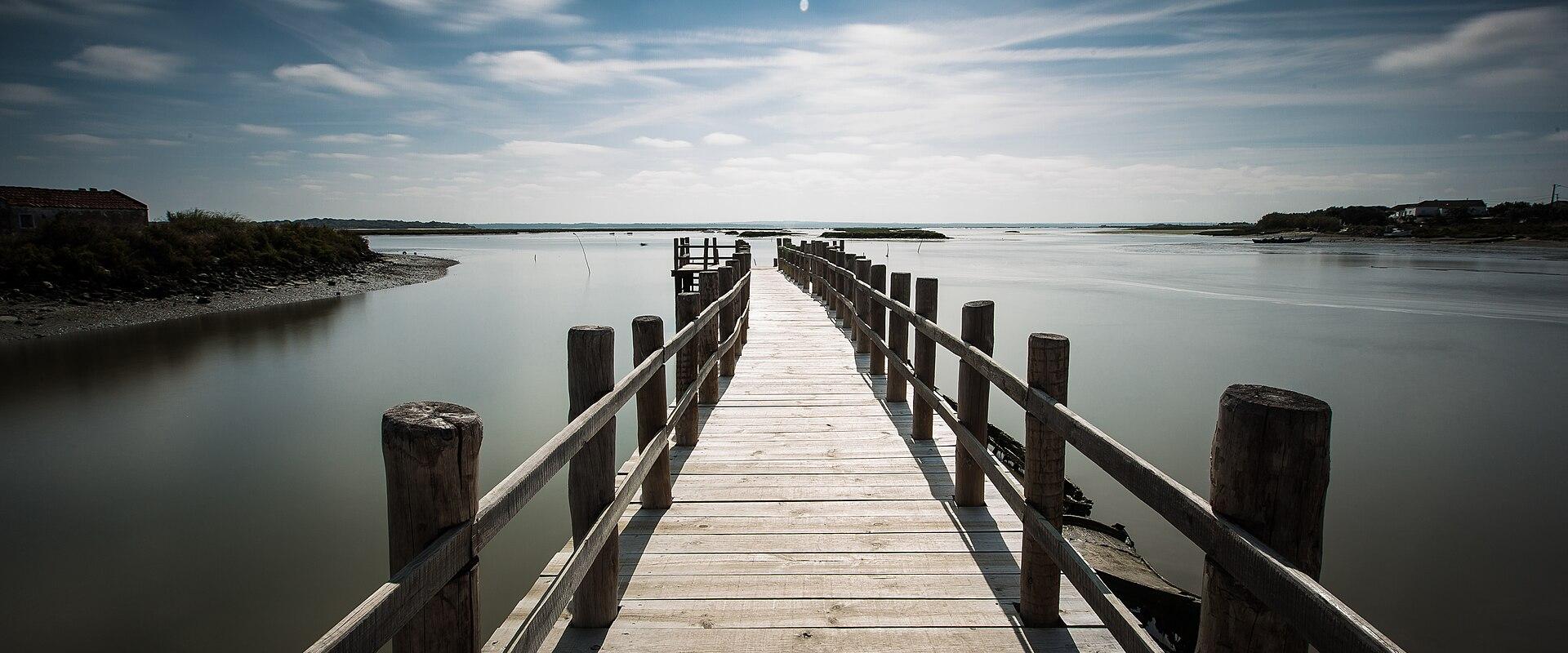 Sado Estuary Nature Reserve