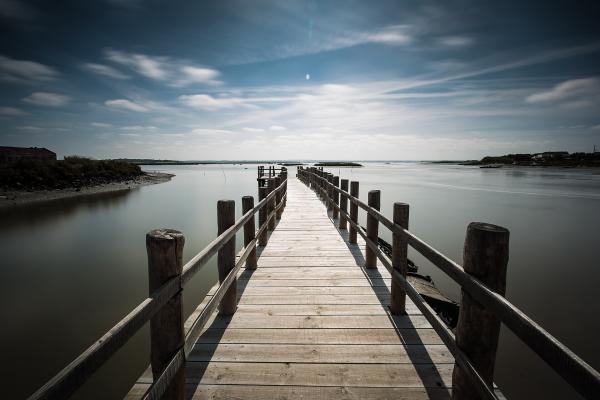 Sado Estuary Nature Reserve