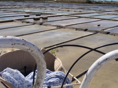A close-up view of a white bicycle handlebar and basket in the foreground, overlooking a vast expanse of rectangular salt evaporation ponds (salinas) with a highway bridge in the distance.