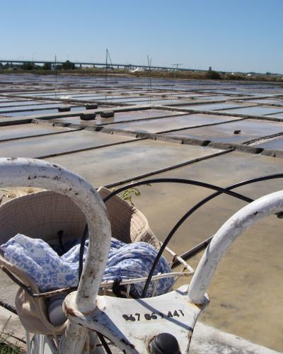 A close-up view of a white bicycle handlebar and basket in the foreground, overlooking a vast expanse of rectangular salt evaporation ponds (salinas) with a highway bridge in the distance.
