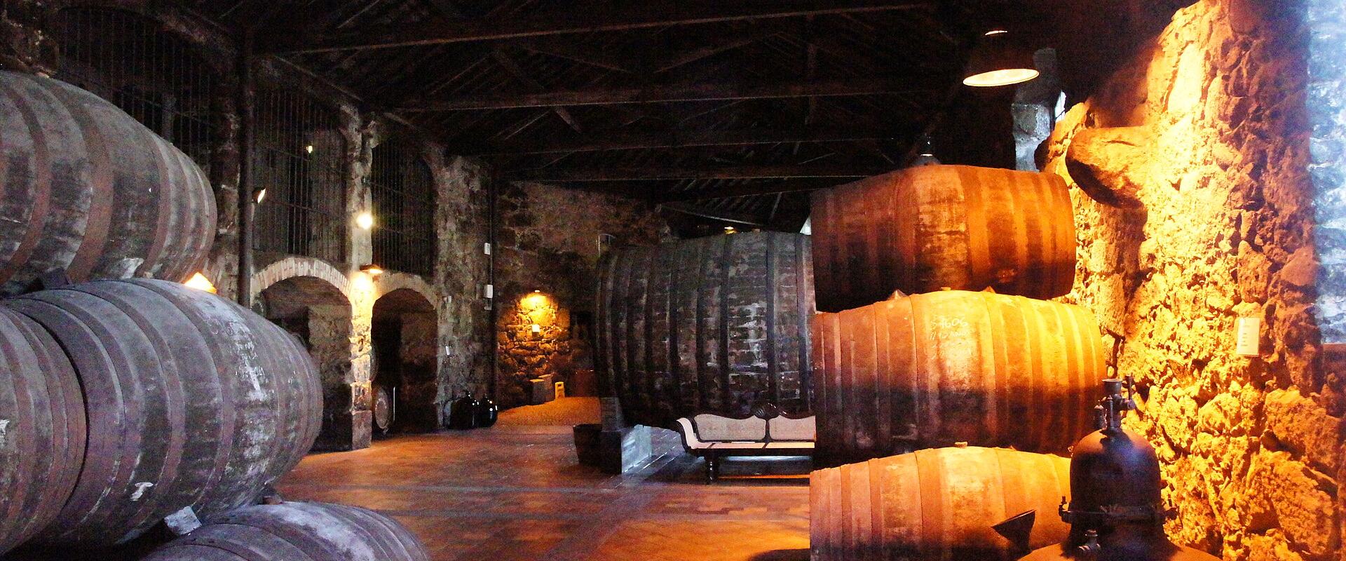 Wine Tasting In Porto