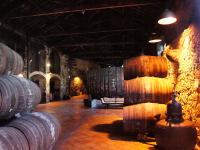 Wine Tasting In Porto
