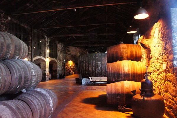 Wine Tasting In Porto