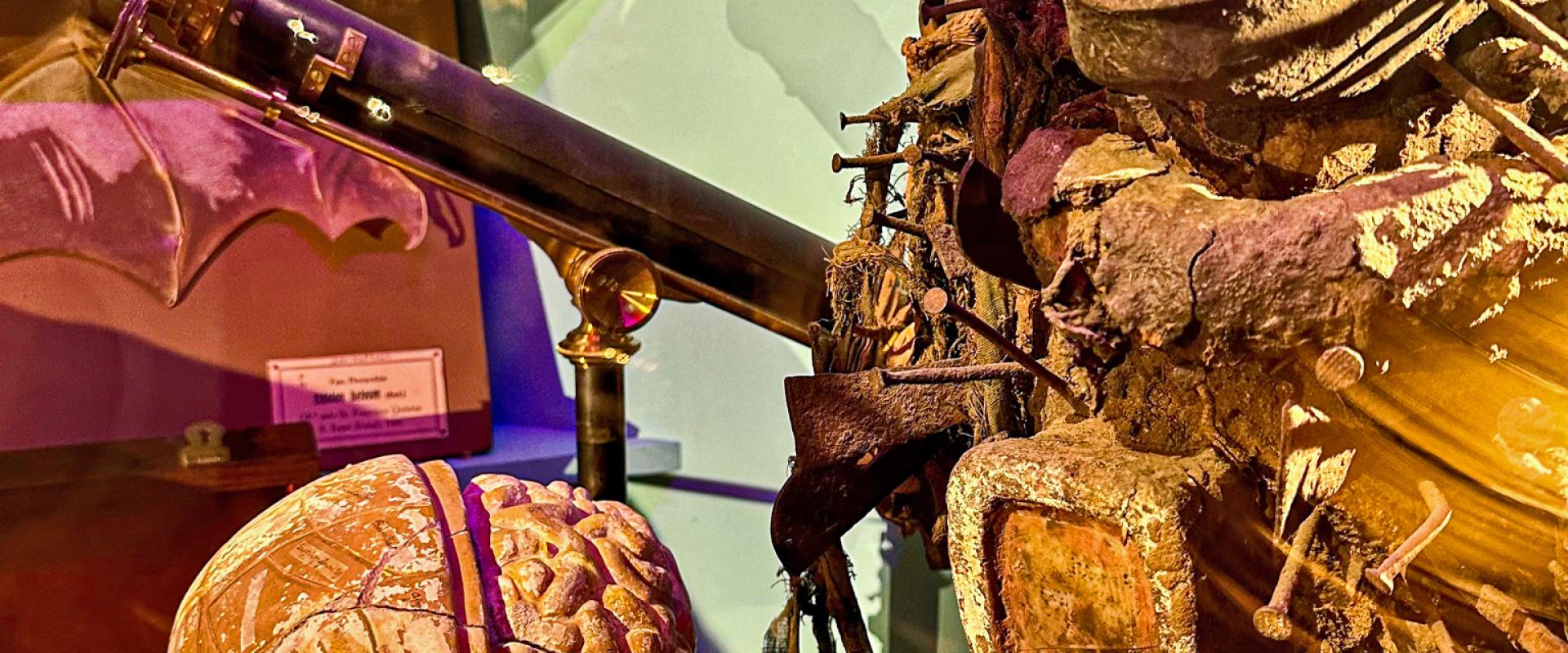 Cabinet Of Curiosities
