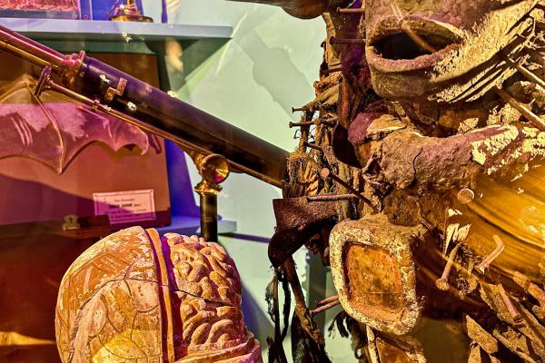 Cabinet Of Curiosities
