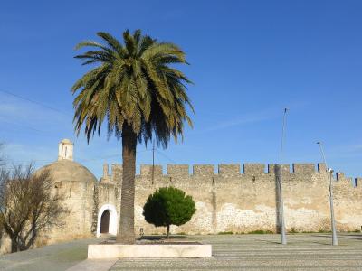 A stone fortification wall with crenellations and an attached domed structure with a small bell tower, viewed from a paved plaza with a large palm tree in the foreground.