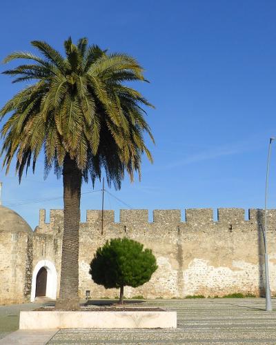 A stone fortification wall with crenellations and an attached domed structure with a small bell tower, viewed from a paved plaza with a large palm tree in the foreground.