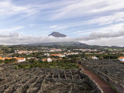 A panoramic view of the Pico Island vineyard landscape featuring black basalt stone walls (currais) enclosing vineyards, with a village of white houses and orange roofs in the mid-ground and the volcanic peak of Mount Pico in the background.