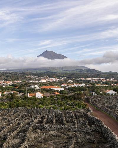 A panoramic view of the Pico Island vineyard landscape featuring black basalt stone walls (currais) enclosing vineyards, with a village of white houses and orange roofs in the mid-ground and the volcanic peak of Mount Pico in the background.