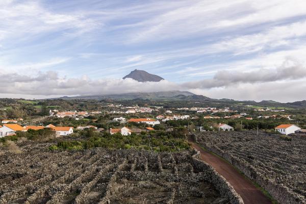 UNESCO-listed Vineyards Of Pico Island