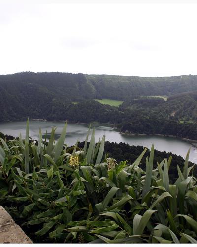 A scenic viewpoint overlooking a large body of water surrounded by green volcanic hills, with a stone wall and tropical-looking plants in the foreground.