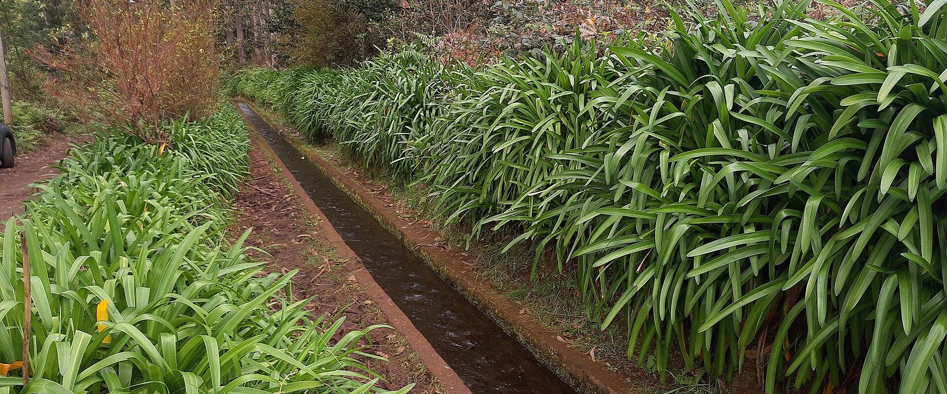 Levada Do Rei (PR 18)