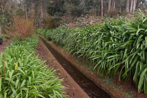 Levada Do Rei (PR 18)