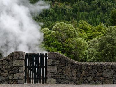 Steam rising over the volcanic stone wall at Furnas hot springs, Sao Miguel, Azores