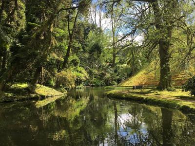 A calm, dark waterway winding through a lush, green garden with tall trees, ferns, and a wooden bench on the bank.