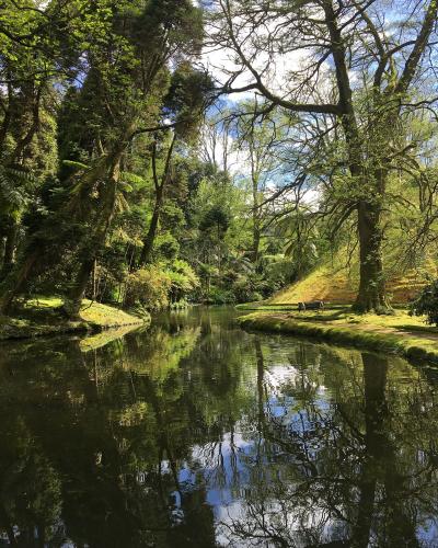 A calm, dark waterway winding through a lush, green garden with tall trees, ferns, and a wooden bench on the bank.