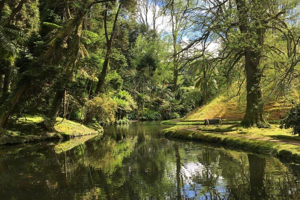 Thermal Pools Of Furnas